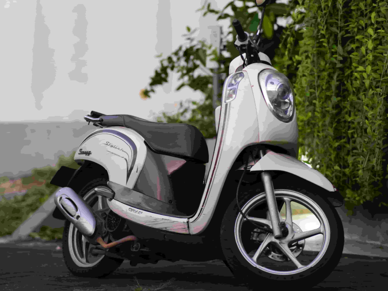 Honda Scoopy